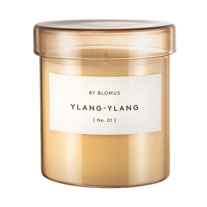 Vaola tuoksukynttilä Ylang Ylang, L, 45 K blomus