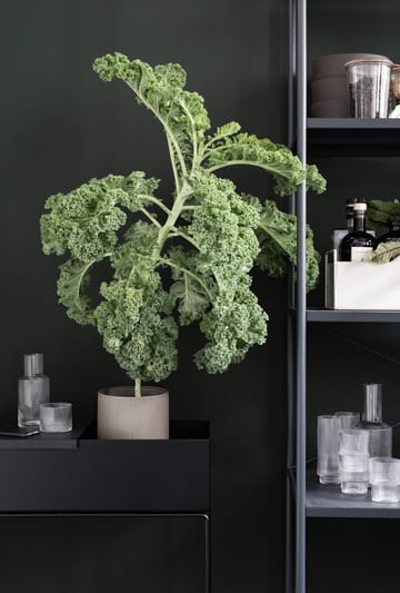 ferm LIVING istutuslaatikko Plant box - musta - ferm LIVING