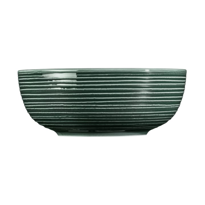 Terra kulho Ø 20,4 cm 2-pakkaus, Moss Green Seltmann Weiden