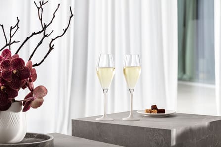 Manufacture Rock champagnelasi 26 cl 4 kpl, Kirkas-valkoinen Villeroy & Boch