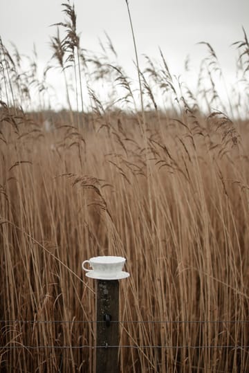 Slåpeblom teekuppi lautasella 30 cl - Vihreä - Wik & Walsøe